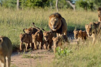 Kenya small group tours